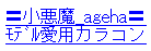 〓小悪魔_ageha〓モデル愛用カラコン